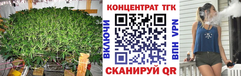 как найти   Сегежа  ТГК концентрат 